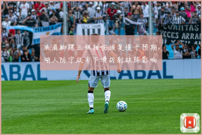 浓眉脚踝三级扭伤恢复慢于预期,湖人防守效率下滑折射缺阵影响